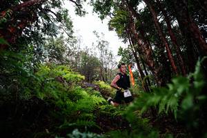 BIB: 
                            <button type="button" onclick="openModal(26201396)" class="btn btn-primary btn-sm float-right btn-popup" data-toggle="modal" data-target=".modal-high-quality">
                        <i class="fas fa-shopping-cart"></i> Add to Cart
                    </button>
                                            <button type="button" onclick="isThisMe(26201396, true)" class="btn btn-success btn-sm float-right btn-popup btn-isme hidden" data-toggle="tooltip" data-placement="bottom" title="นี่คือรูปของคุณใช่ไหม คลิกที่นี่เพื่อเอาเข้าอัลบั้ม">
                        <i class="fas fa-plus"></i> Add to album
                    </button>
                    <button type="button" onclick="isThisMe(26201396, false)" class="btn btn-warning btn-sm float-right btn-popup btn-isnotme hidden">
                        <i class="fas fa-ban"></i> Remove from album
                    </button>